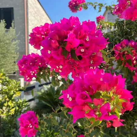 Amazing View! B & C New In * Vlore