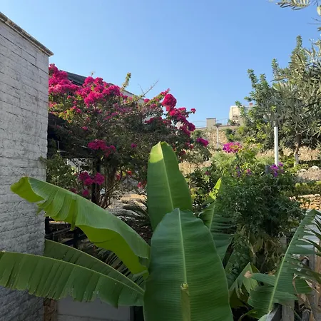 Amazing View! B & C New In Apartment Vlore