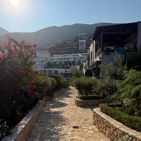 Amazing View! B & C New In Vlore