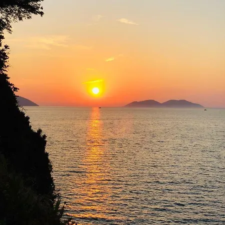 Amazing View! B & C New In Apartment *