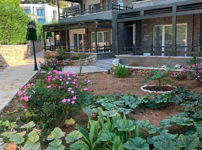 Apartment Amazing View! B & C New In *