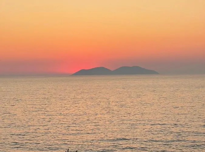 Amazing View! B & C New In Apartment