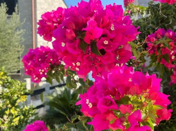 Amazing View! B & C New In * Vlorë