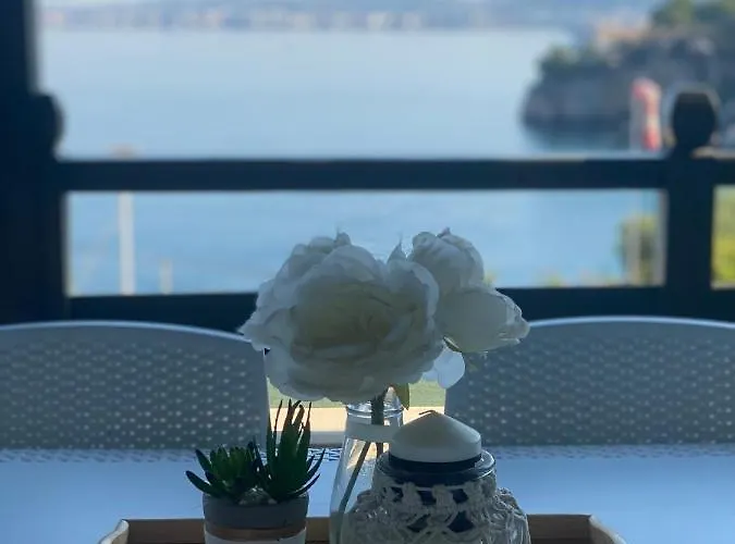 Amazing View! B & C New In Apartment