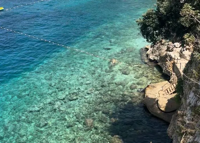 Amazing View! B & C New In Apartment