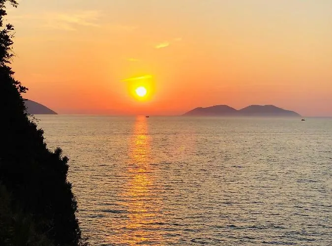 Amazing View! B & C New In Apartment *